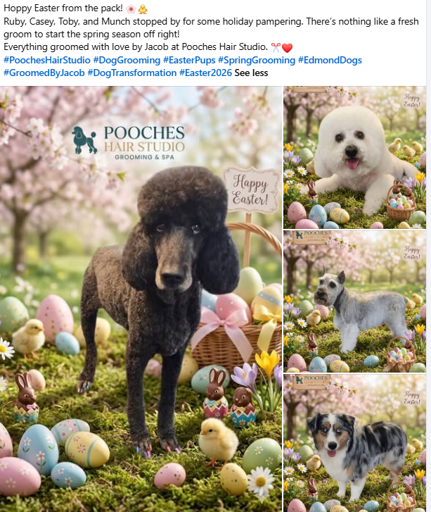 A professional grooming session at Pooches Hair Studio showing a dog being treated with soothing shampoo for springtime dog skin allergies.