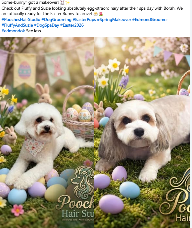 Fluffy and Suzie, two happy dogs after a makeover from the best dog groomer in Edmond OK, Pooches Hair Studio.
